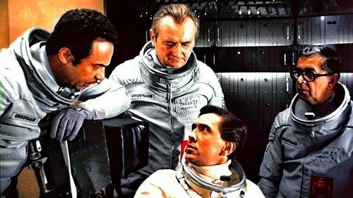 Tomorrow I'll Wake Up and Scald Myself with Tea filmas žiurėti online