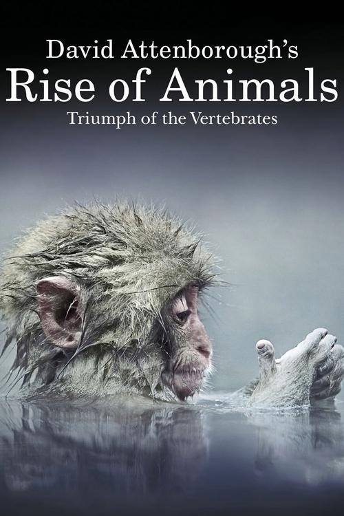 David Attenborough's Rise of Animals: Triumph of the Vertebrates filmas online