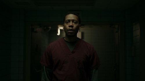 Rounding filmas žiurėti online