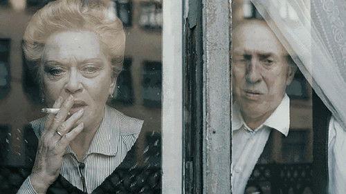 A Room and a Half filmas žiurėti online