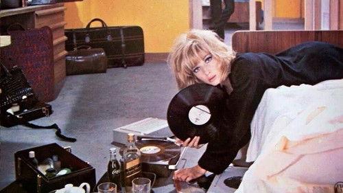 Kill Me Quick, I'm Cold filmas žiurėti online