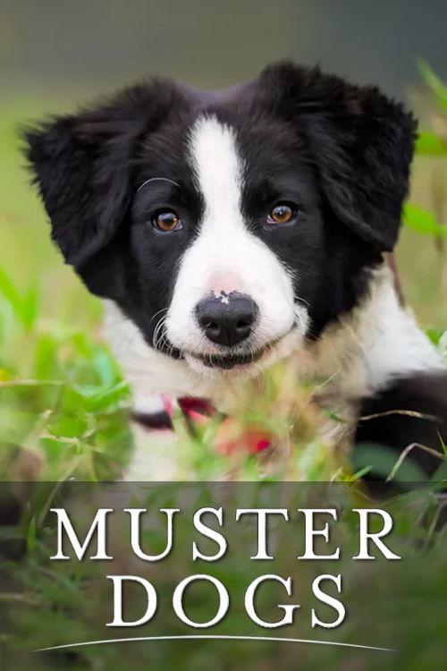 Muster Dogs filmas online