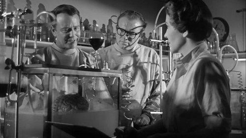 Donovan's Brain filmas žiurėti online