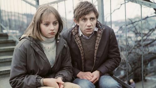 Клетка для канареек filmas žiurėti online