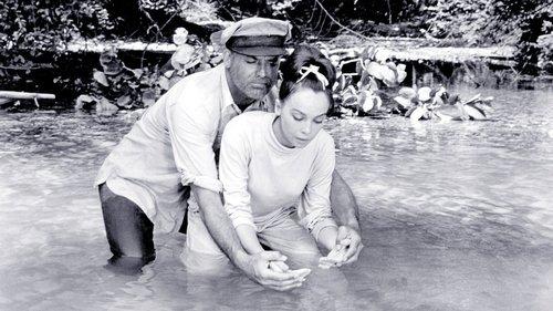 Father Goose filmas žiurėti online