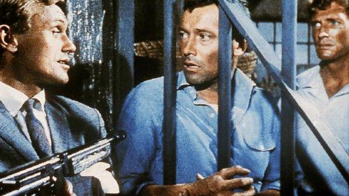 Operation Hong Kong filmas žiurėti online