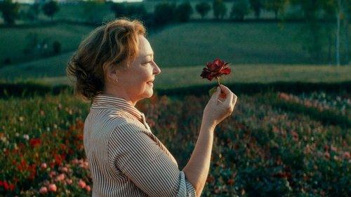 La Fine Fleur filmas žiurėti online