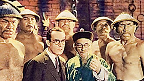 The Cat's-Paw filmas žiurėti online