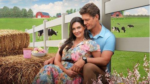 Double Scoop filmas žiurėti online