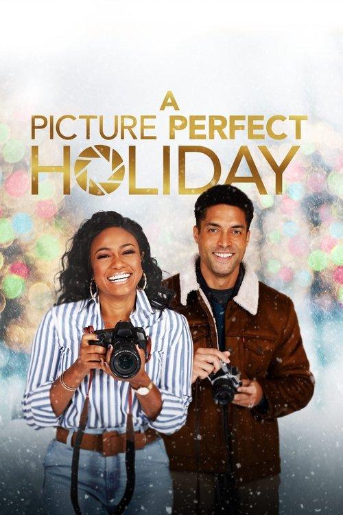 A Picture Perfect Holiday filmas online
