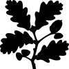 National Trust studio logo