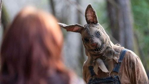 Ted Bunny filmas žiurėti online