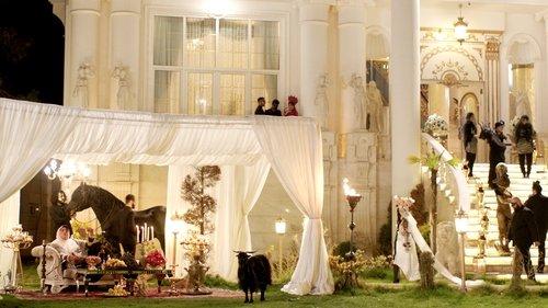 Pig filmas žiurėti online