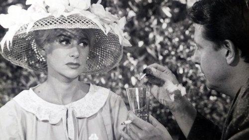 One Night at the Beach filmas žiurėti online