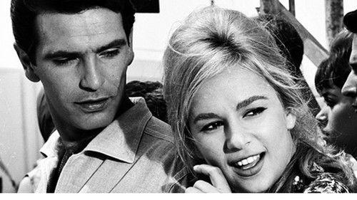 The Trip filmas žiurėti online