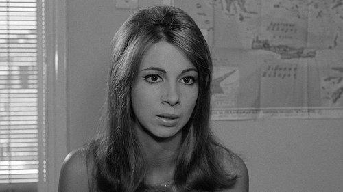 The Hot Month of August filmas žiurėti online