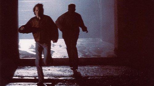 The Blue Wolves filmas žiurėti online