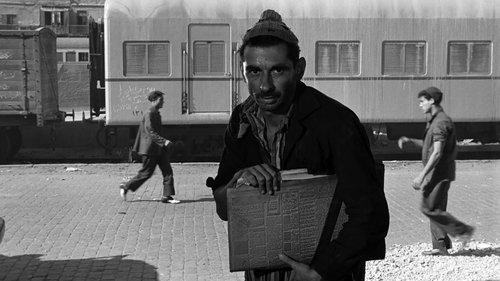 Cairo Station filmas žiurėti online