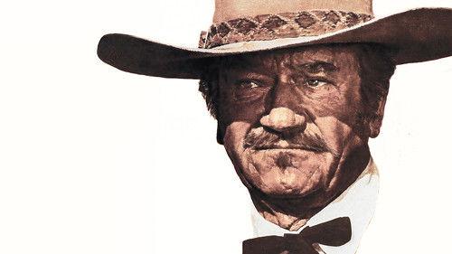 The Shootist filmas žiurėti online