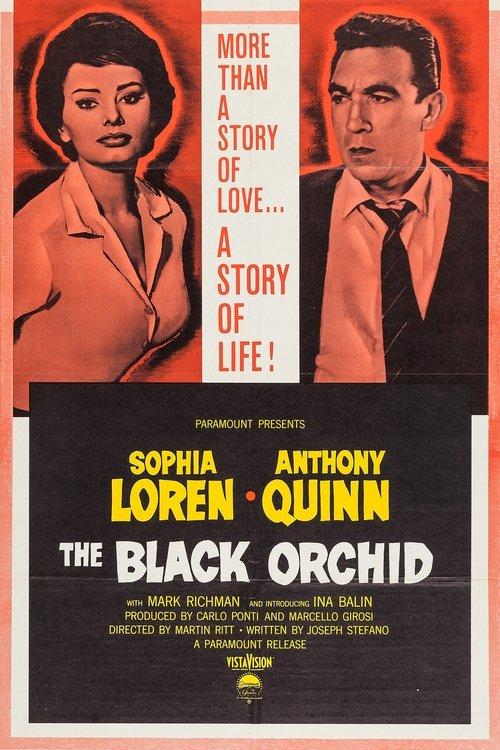 The Black Orchid filmas online