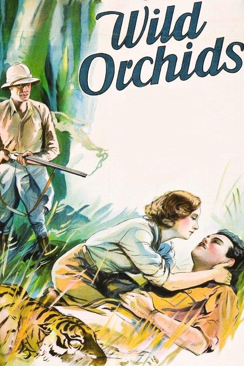Wild Orchids filmas online