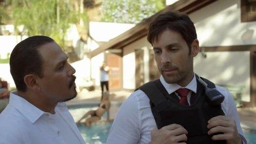 Better Criminal filmas žiurėti online