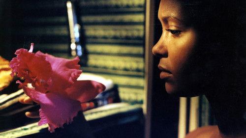 L'assedio filmas žiurėti online