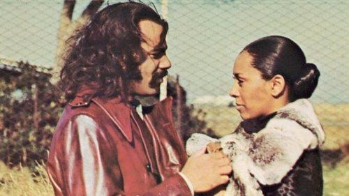 Super Fly T.N.T. filmas žiurėti online