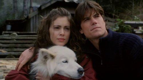 To Brave Alaska filmas žiurėti online