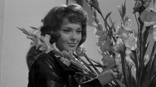 Five Day Lover filmas žiurėti online