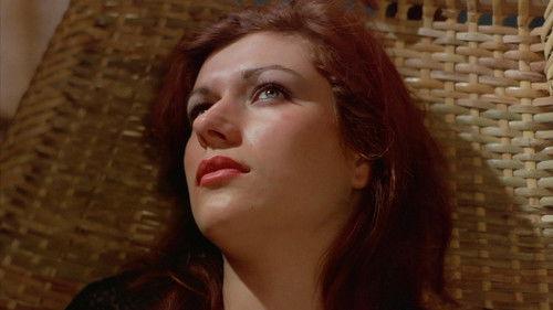 In 80 Betten um die Welt filmas žiurėti online
