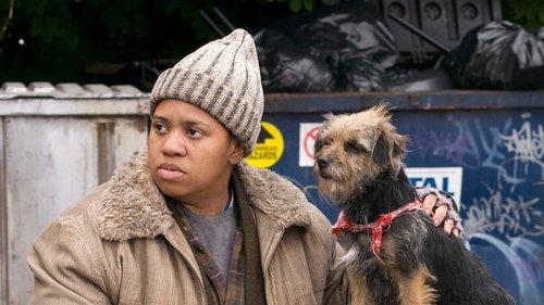 Accidental Friendship filmas žiurėti online