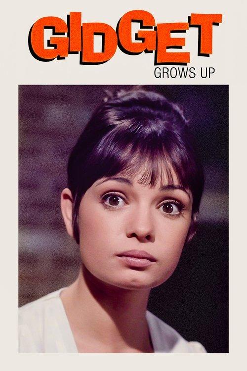 Gidget Grows Up filmas online
