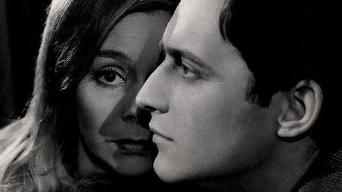 Dancing in the Rain filmas žiurėti online