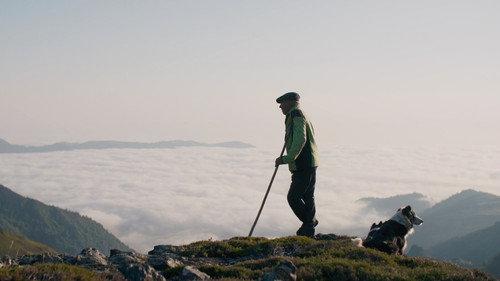 The Shepherd and the Bear filmas žiurėti online