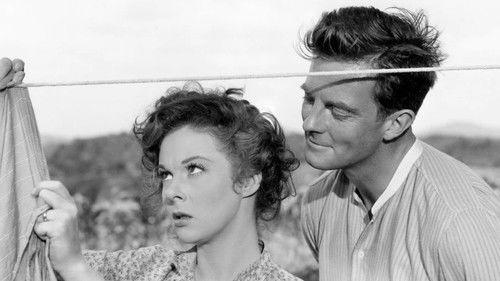 I'd Climb the Highest Mountain filmas žiurėti online