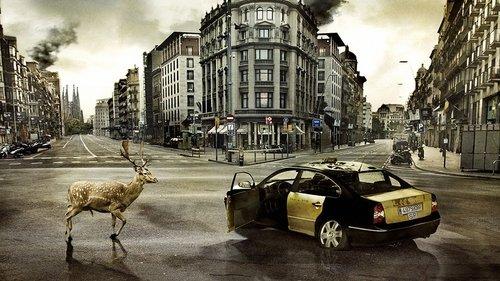 Paskutinės dienos filmas žiurėti online