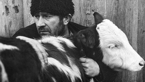 The Trek filmas žiurėti online