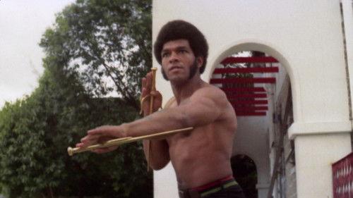 龍爭虎鬥精武魂 / The Black Dragon's Revenge filmas žiurėti online