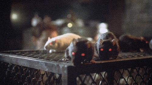 Rats - Notte di terrore filmas žiurėti online