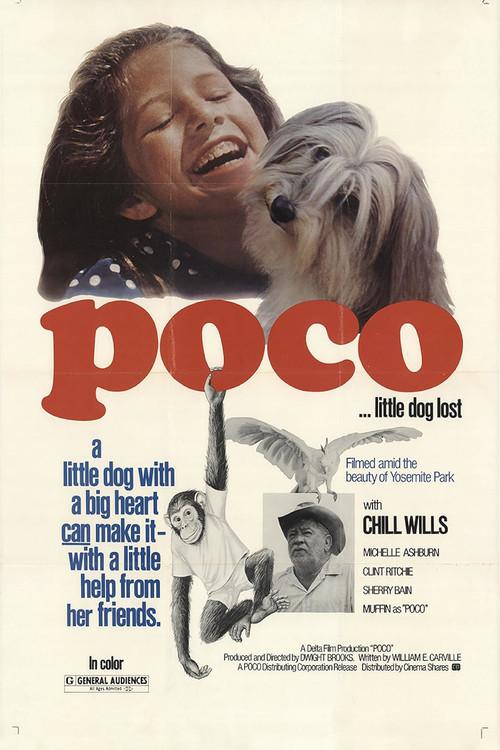 Poco… Little Dog Lost filmas online