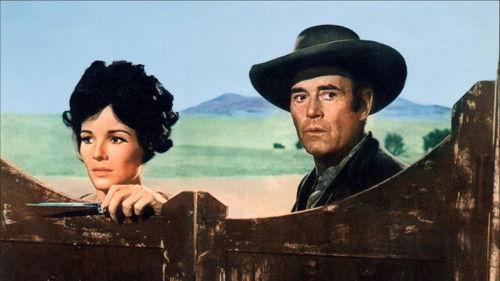 Welcome to Hard Times filmas žiurėti online