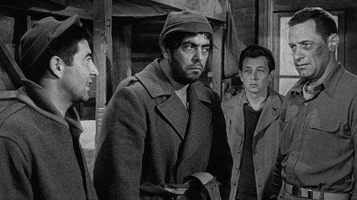 Stalag 17 filmas žiurėti online