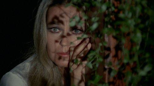 El ojo del huracán filmas žiurėti online