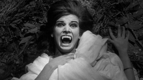 The Slaughter of the Vampires filmas žiurėti online