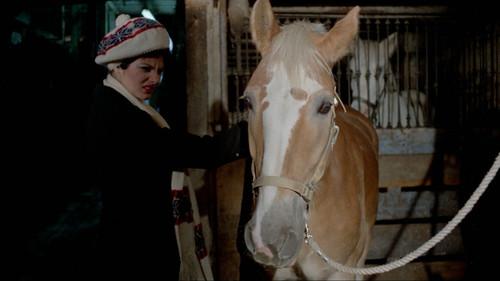 Liquid A$$ets filmas žiurėti online