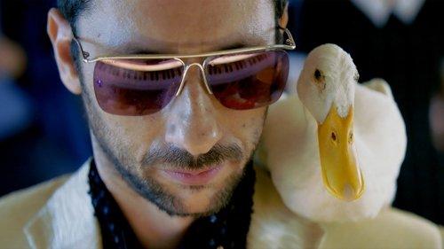 Taip! filmas žiurėti online