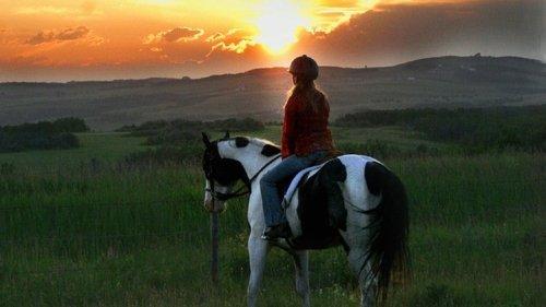 Moondance Alexander filmas žiurėti online