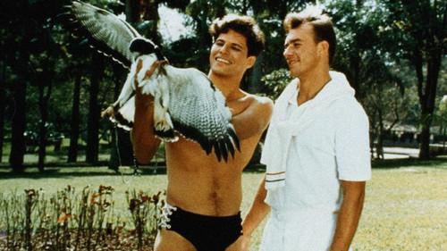 Brasa Adormecida filmas žiurėti online