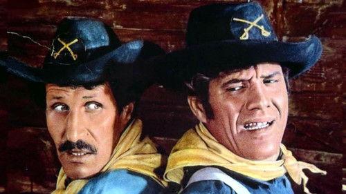 The Handsome, The Ugly, And The Stupid filmas žiurėti online